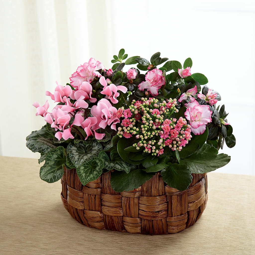 Pink Assortment – Hlm Floral Events, Los Angeles CA
