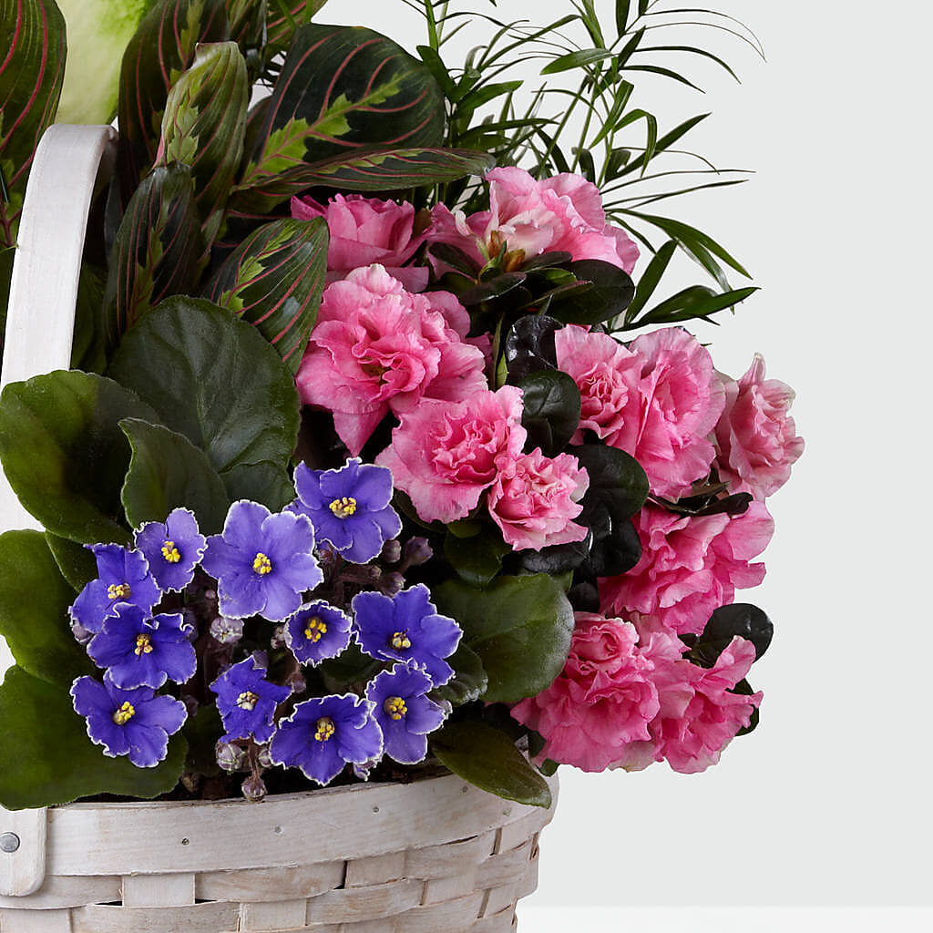 Peaceful Garden Planter – Hlm Floral Events, Los Angeles CA
