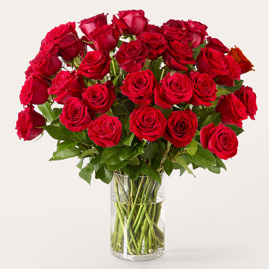 The One Red Rose Bouquet – Hlm Floral Events, Los Angeles CA