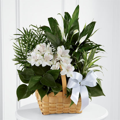 Peace & Serenity Dishgarden –  Hlm Floral Events, Los Angeles CA