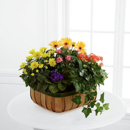 Gentle Blossoms Basket –  Hlm Floral Events, Los Angeles CA