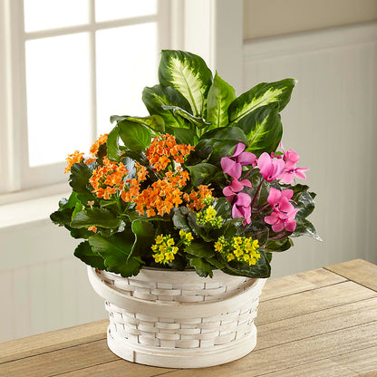 Color Crush Dishgarden –  Hlm Floral Events, Los Angeles CA