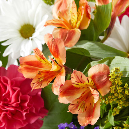 Oopsie Daisy Box Bouquet –  Hlm Floral Events, Los Angeles CA