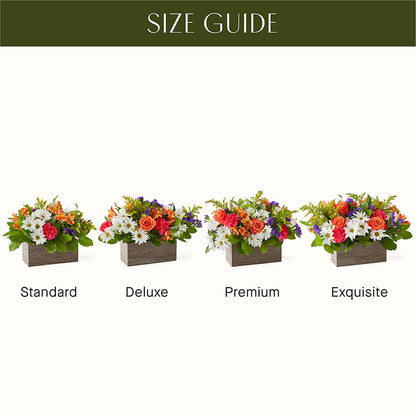 Oopsie Daisy Box Bouquet –  Hlm Floral Events, Los Angeles CA