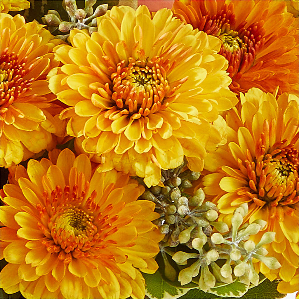 Peachy Pumpkin –  Hlm Floral Events, Los Angeles CA