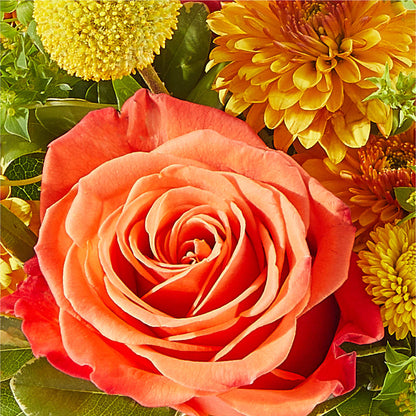 Gourdgeous Pumpkin –  Hlm Floral Events, Los Angeles CA