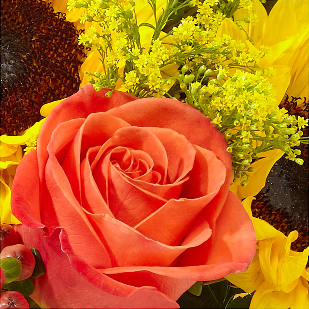 Pick of the Patch Pumpkin Bouquet –  Hlm Floral Events, Los Angeles CA