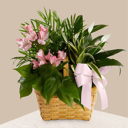 Living Spirit Dishgarden –  Hlm Floral Events, Los Angeles CA