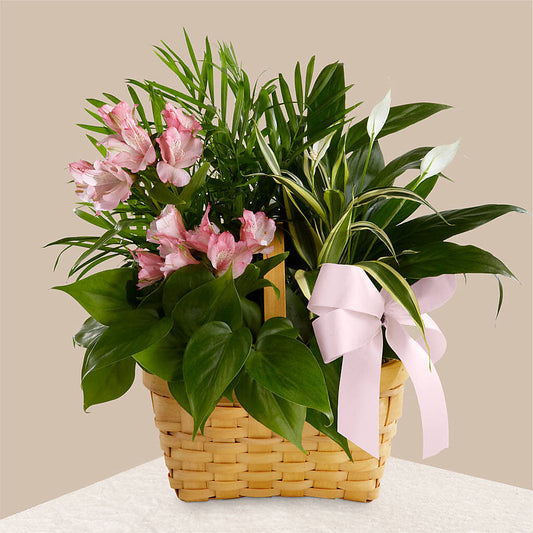 Living Spirit Dishgarden –  Hlm Floral Events, Los Angeles CA