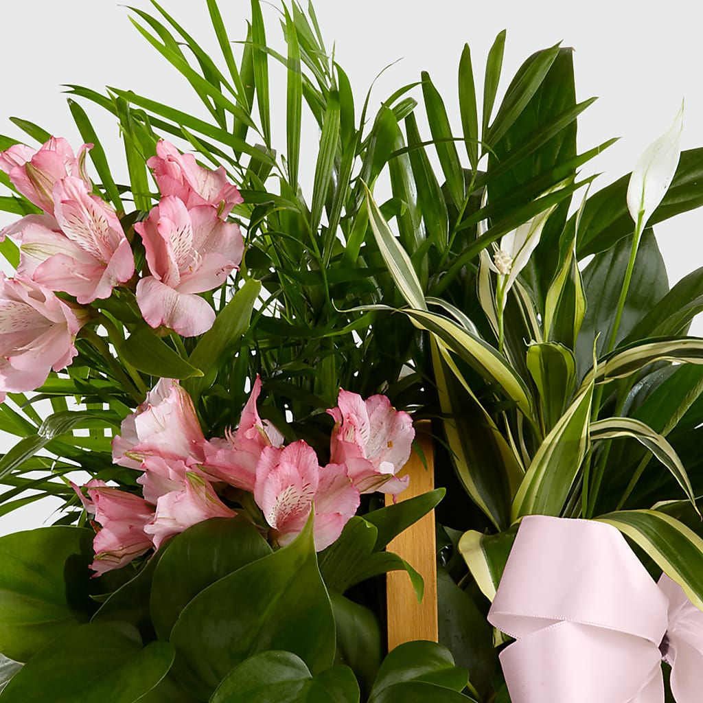 Living Spirit Dishgarden –  Hlm Floral Events, Los Angeles CA