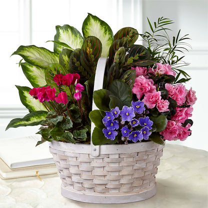 Peaceful Garden Planter –  Hlm Floral Events, Los Angeles CA