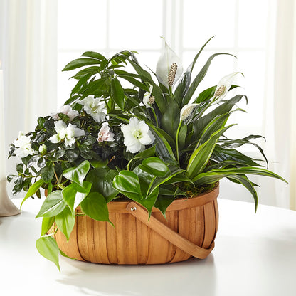 Serene Dishgarden –  Hlm Floral Events, Los Angeles CA