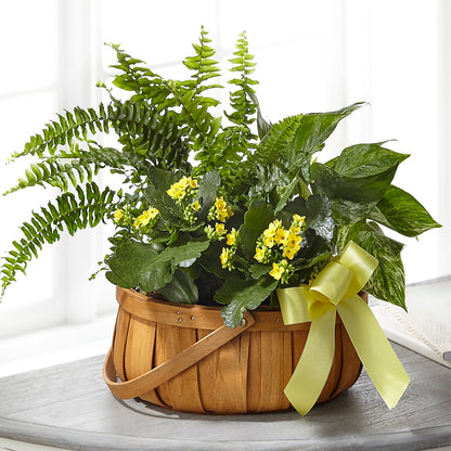 Always Dear Dishgarden –  Hlm Floral Events, Los Angeles CA