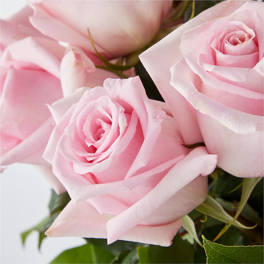 Picture Perfect Pink Rose Bouquet –  Hlm Floral Events, Los Angeles CA