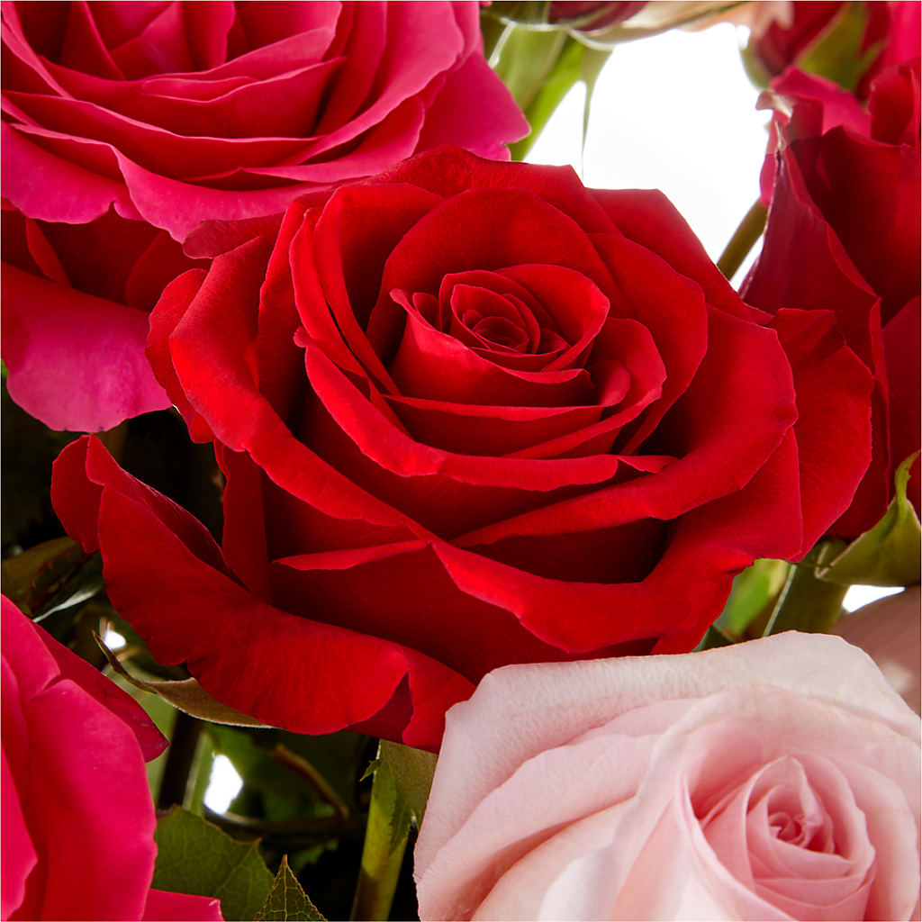 Love Notes Rose Bouquet –  Hlm Floral Events, Los Angeles CA