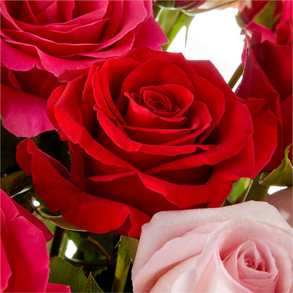 Love Notes Rose Bouquet –  Hlm Floral Events, Los Angeles CA