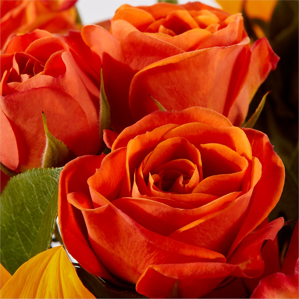 Picnic in the Park Bouquet –  Hlm Floral Events, Los Angeles CA