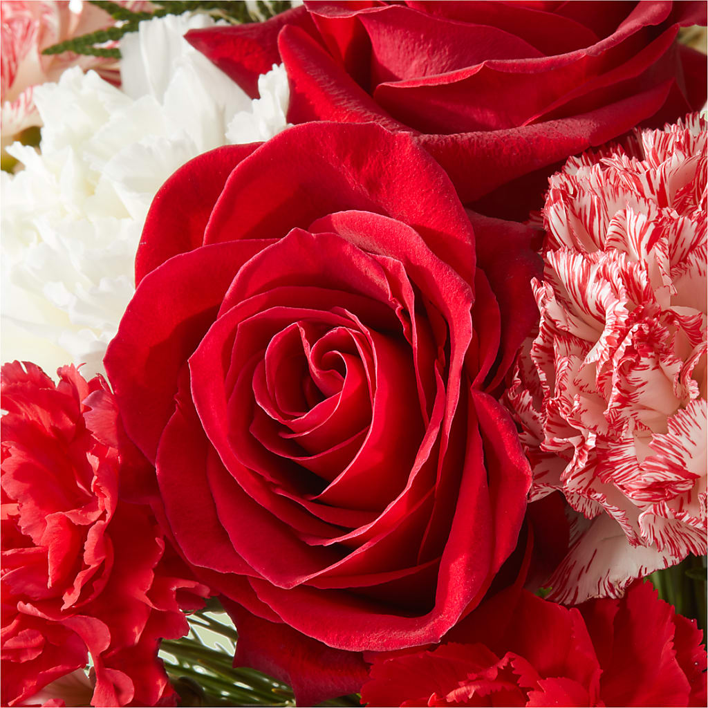 Candy Cane Lane Bouquet –  Hlm Floral Events, Los Angeles CA