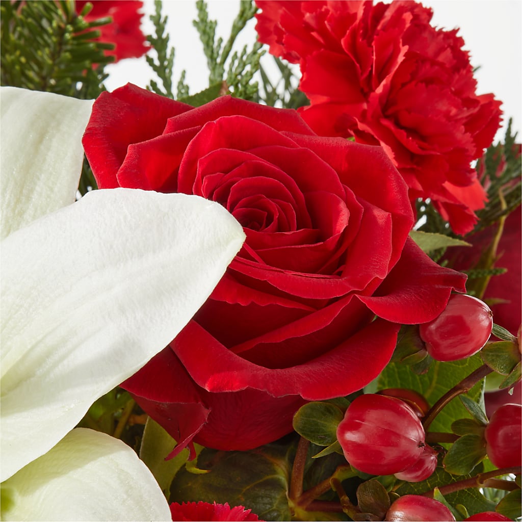 Oh So Jolly Bouquet –  Hlm Floral Events, Los Angeles CA