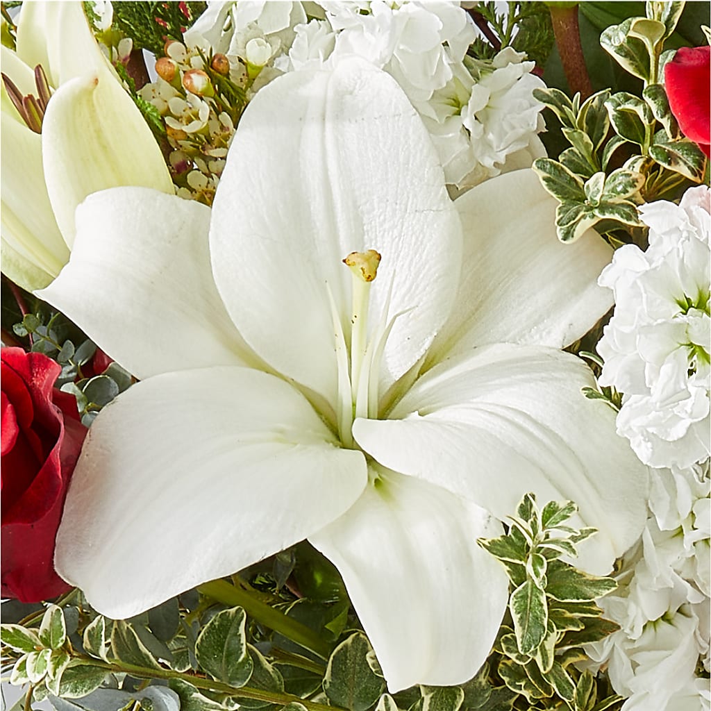 Twinkle Lights Bouquet –  Hlm Floral Events, Los Angeles CA