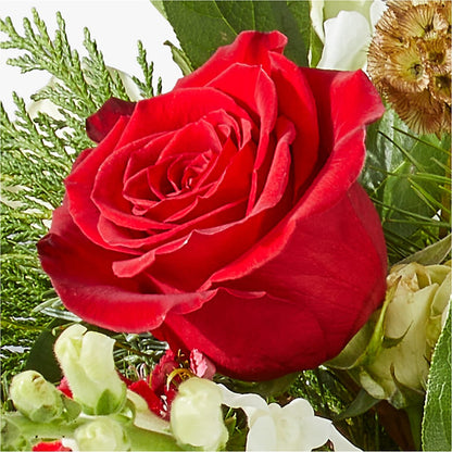 Deck the Halls Bouquet –  Hlm Floral Events, Los Angeles CA