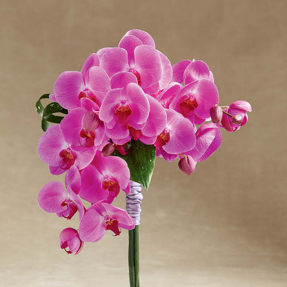 Glorious Bouquet –  Hlm Floral Events, Los Angeles CA