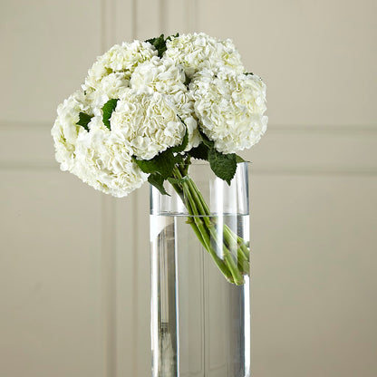 White Hydrangea Hand-Tied Bouquet –  Hlm Floral Events, Los Angeles CA